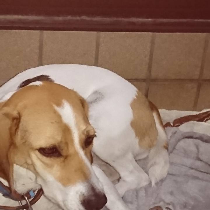 0346cf90 fffa 4d87 8790 3dc9cbab2151 1570806906055