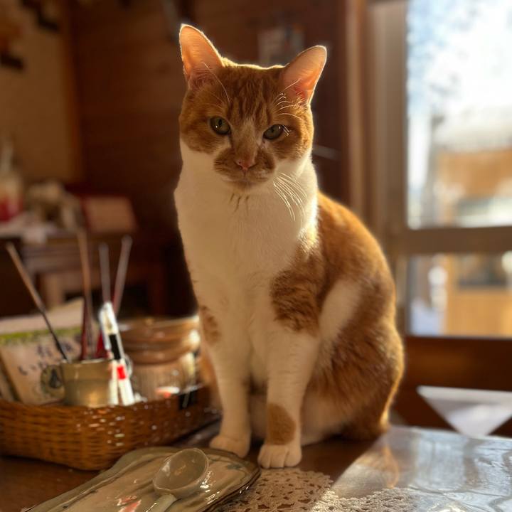 0346d3a1 f651 4a47 8cb1 a598e832ef27 1703202193438