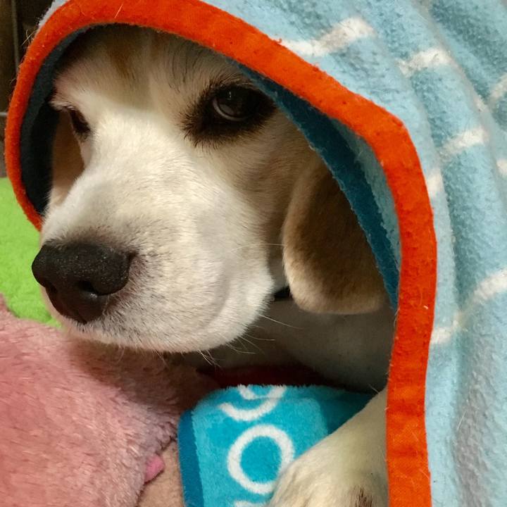 0347001e edb8 40cd be09 f651f0955411 1556252584013