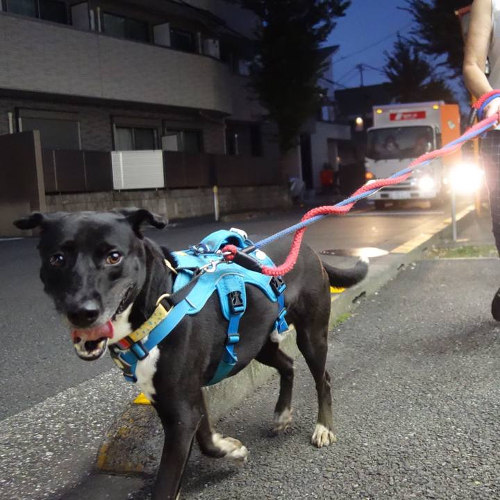 03470124 58d5 4afd b411 498a389f0625 1630232531942