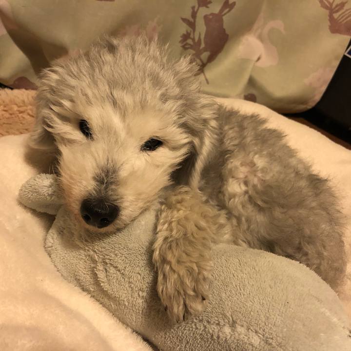 0347077e 4ab9 4ae2 a227 b68131355f50 1643639608219