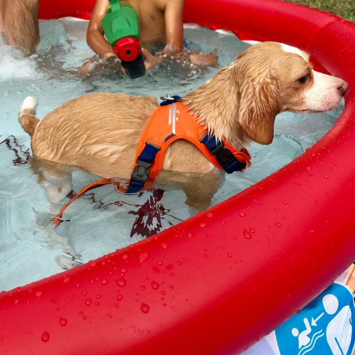 034713ae 6195 44a7 b0ad 3589e68603a8 1533432755651