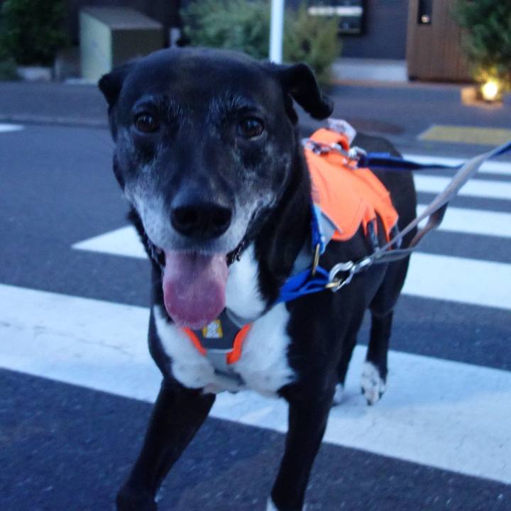 034715d6 8804 46d0 b8fd d7a4782b7740 1750590086416