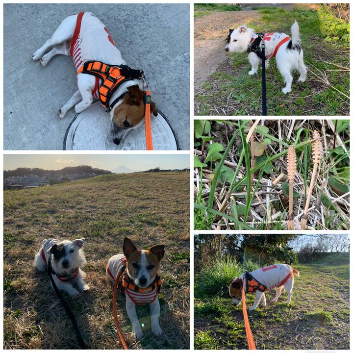 03472421 bc4f 421e a0d0 6fd4f67cc198 1583914838856