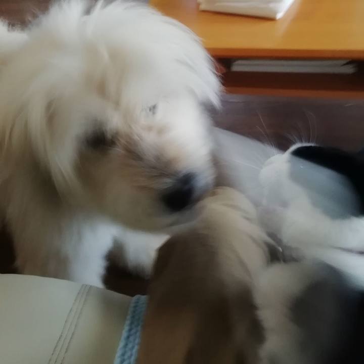 034729d0 a2a8 45b1 b3fd bcf507e3ec0f 1588163076193