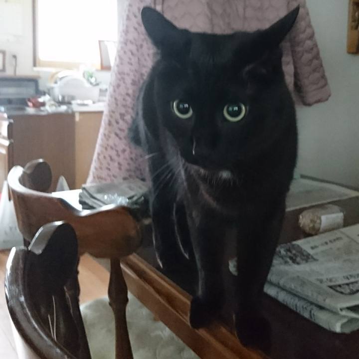 03472d5f 7ec6 405d 9da3 c5c92df1214c 1566545555477