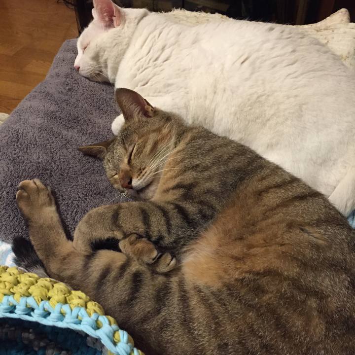 03474877 3035 4184 b322 d72aec116498 1532787509373