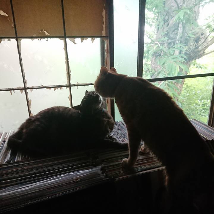 03478311 c7a7 4013 a705 6c2368626ee6 1656452447886