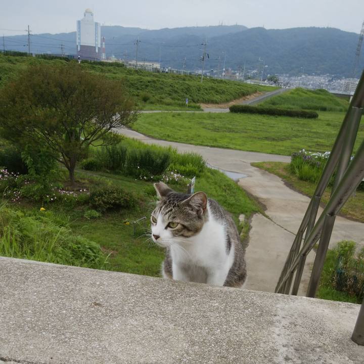 0347ab03 06df 4d5c 9a71 c53bdda4bd28 1528589139050