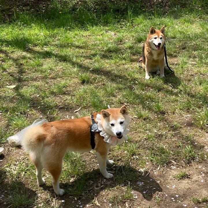 0347bdfc 59cb 45d4 beac 0dcff9dc4b66 1713334534704