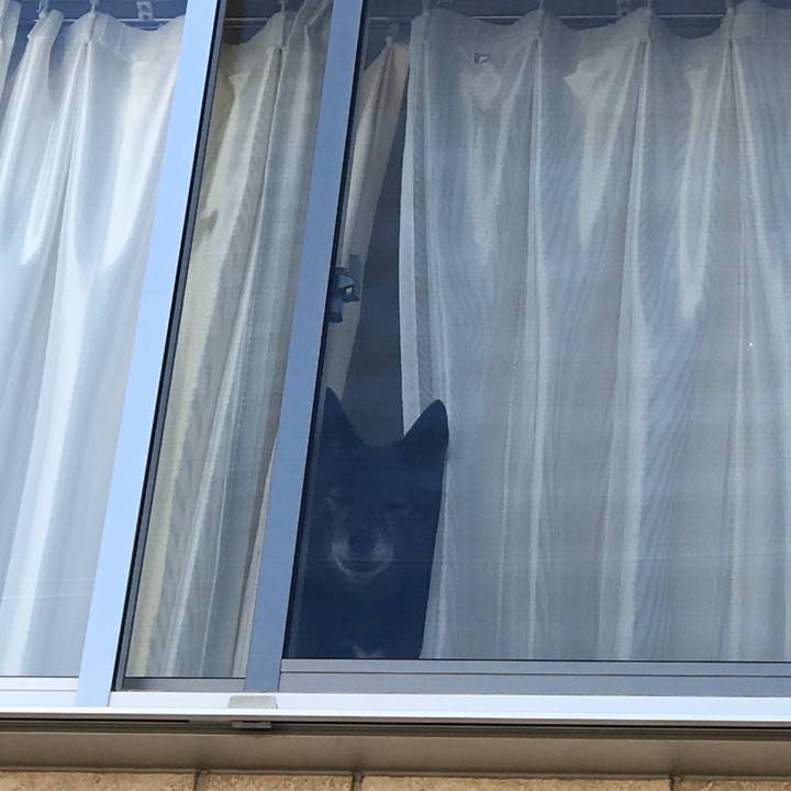 0347f765 60d9 44bf 84ce 970f415d6f2c 1513251444080