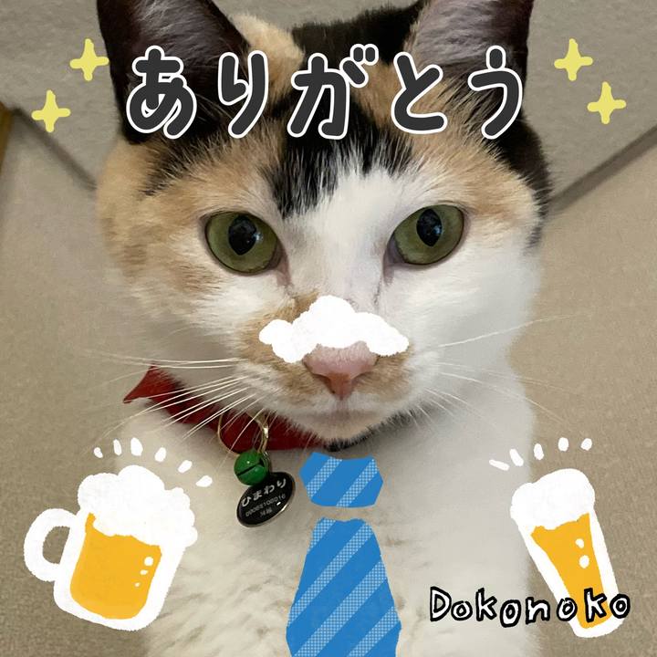 0347f8aa 262b 4280 847d 216ffb6525aa 1717587749532