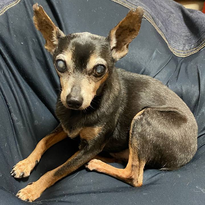 0347fca6 cbba 4d54 965f 52fb74d8c67f 1600282536516