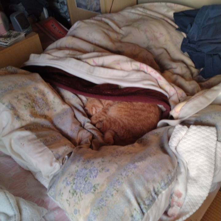 0348082b 08c5 42c5 8889 1b9f62b979fd 1713130726992