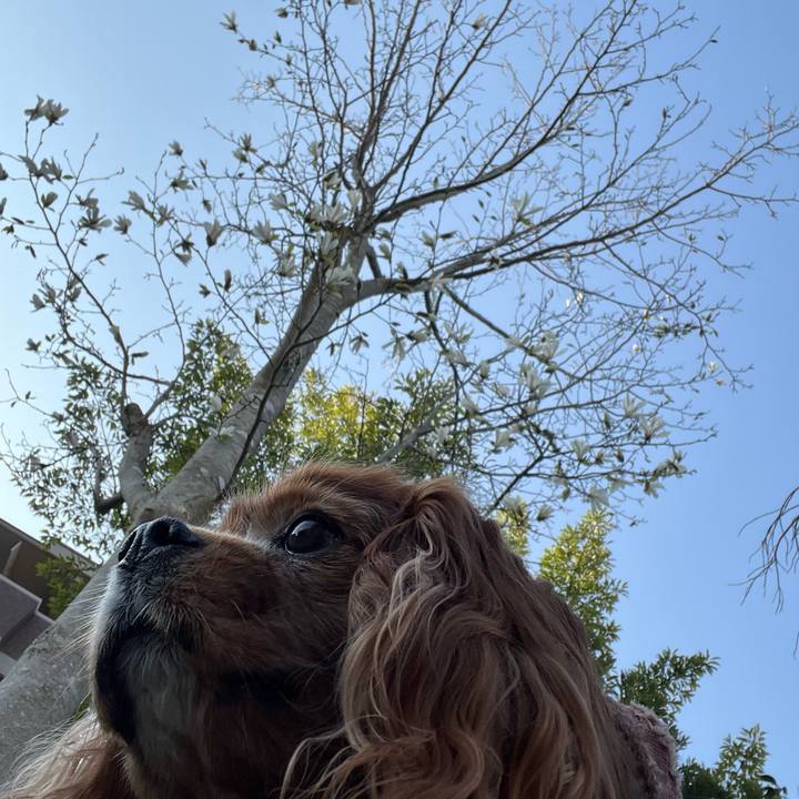 03480c5d 2c33 4591 8da1 41ef5609ee3a 1711757972349