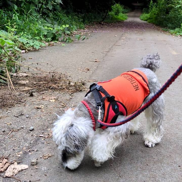 03485238 f30b 4b54 b492 85f12babd0fe 1758500063463