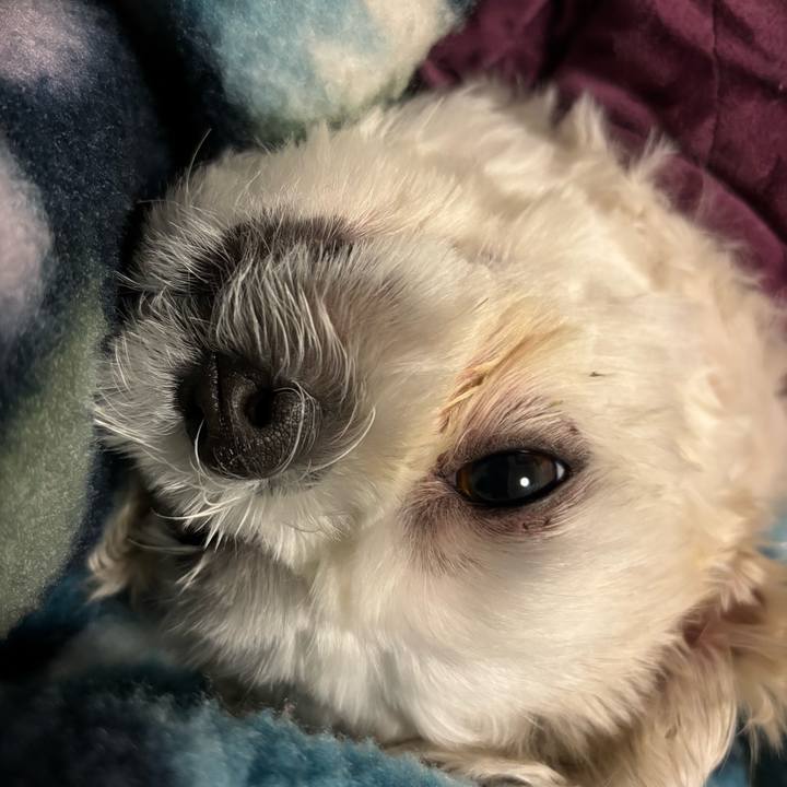 034852a5 5005 40dd af08 434562da08fa 1762207473231