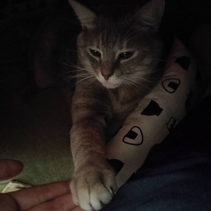 03487c51 f32f 43f8 849c 31d131eb2a75 1545874495747