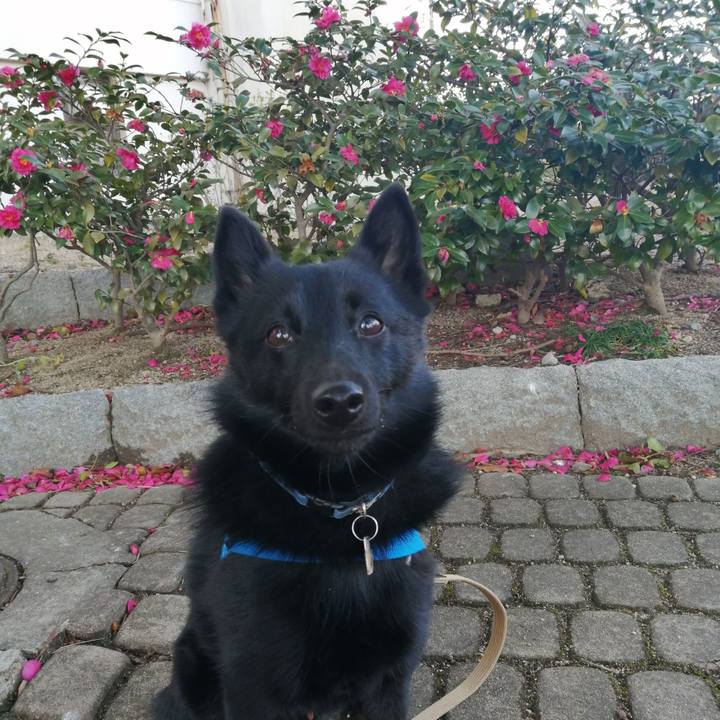 034885fe 53e0 4db9 b69a dce3aa2f5f75 1609458321896