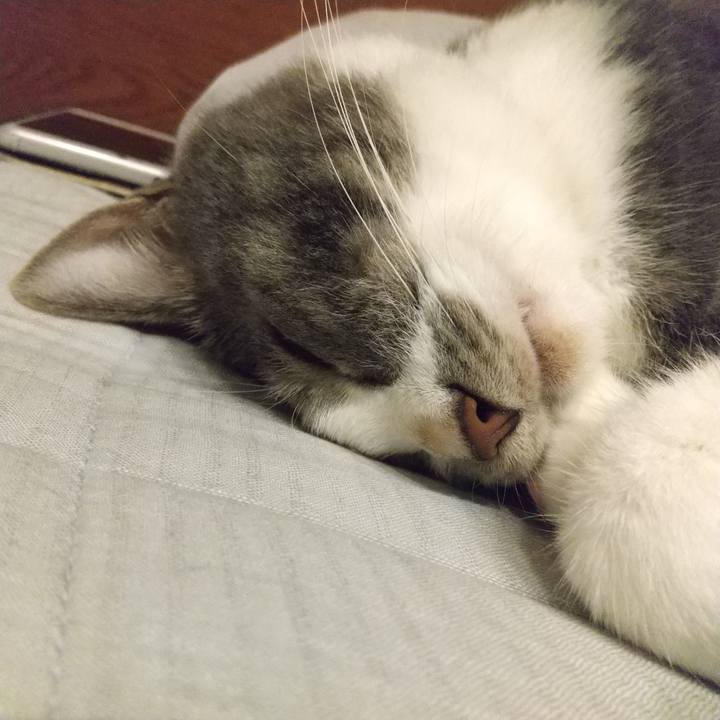 0348b443 7a61 4f34 913a 6ce3a8fa47a5 1633702955841