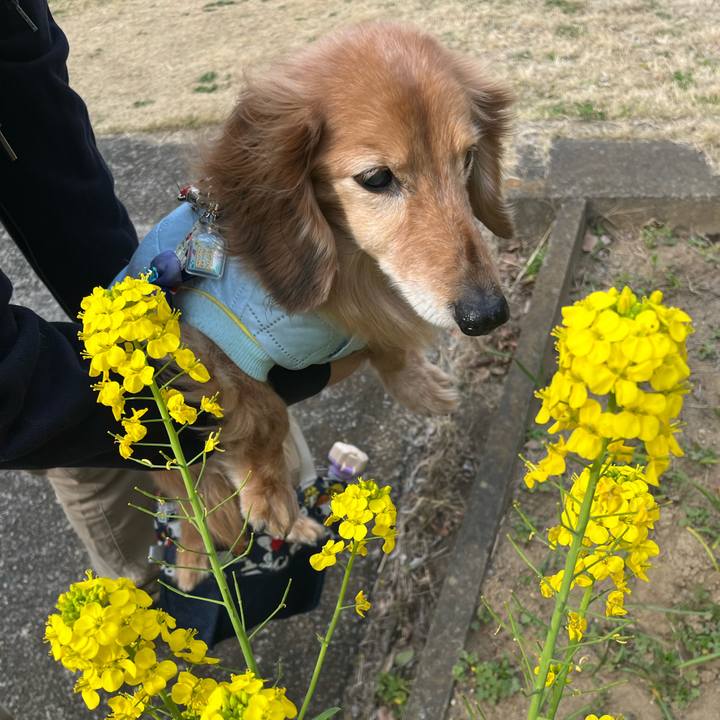 0348d51f 9e9f 4393 85bc 7a261d46f1d9 1678629220881