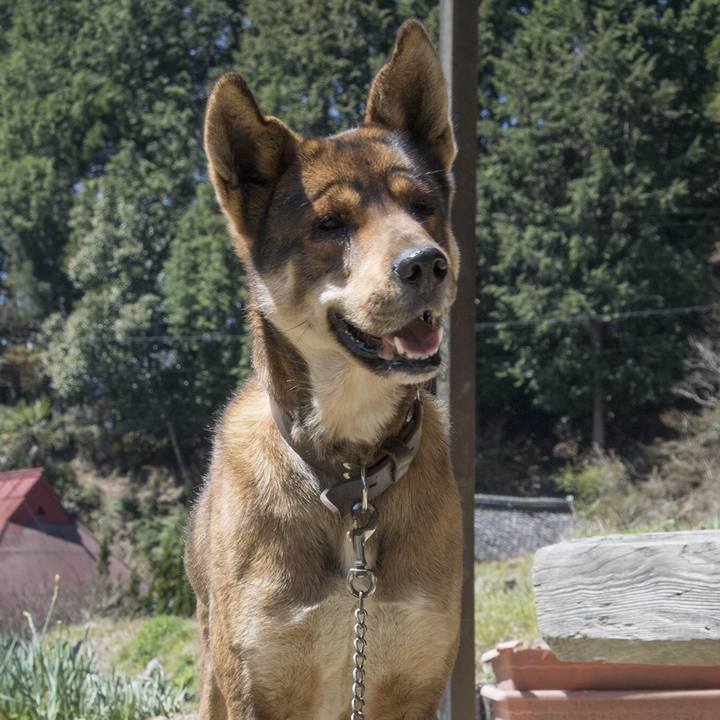 03490422 51cf 42ea 872c 288b988a3a34 1555287612450