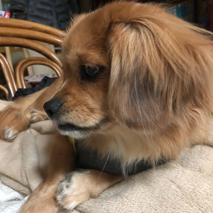 03494034 94af 42b3 9280 8ddf41b61d3b 1512383556765