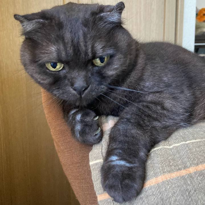 03494562 6083 4ffe 87b6 34e25f104711 1592610049577