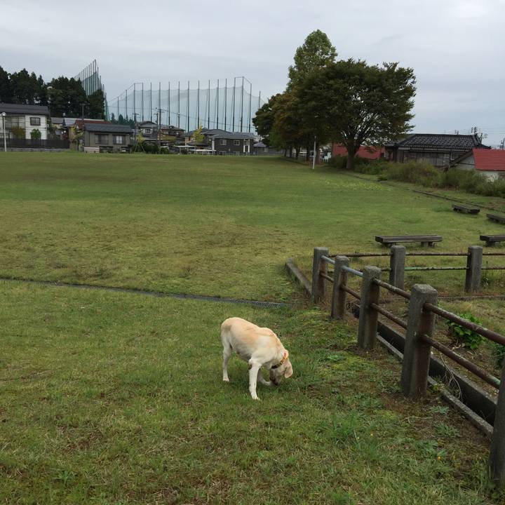 0349c6a3 b701 4bc1 b303 64c5131f10f9 1539743479551