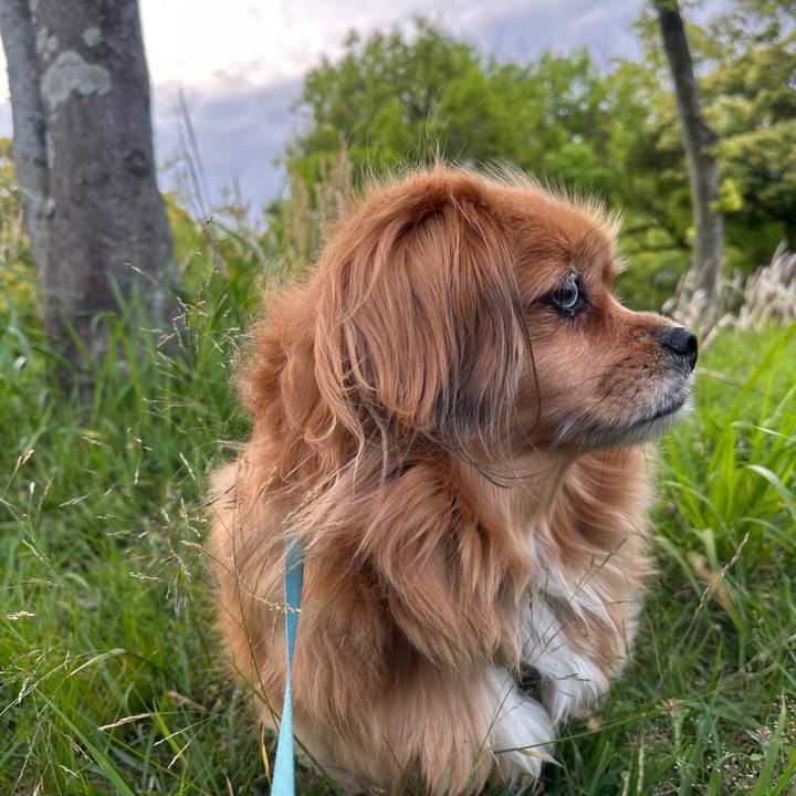 0349cd18 ef5e 4004 82ea 5f18fcdd21d7 1683925141526