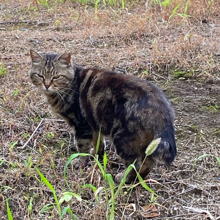 0349dd39 ab73 4fb4 a16b 8d960bb4c815 1659589045960