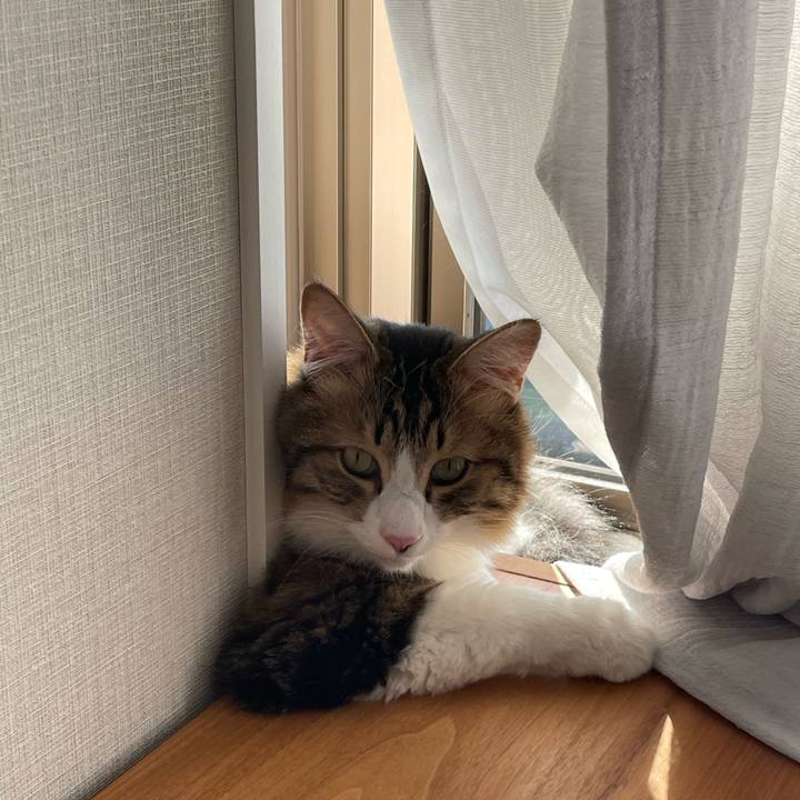 0349f5ac aef0 41a1 9e1f e3895135d16a 1767336485020