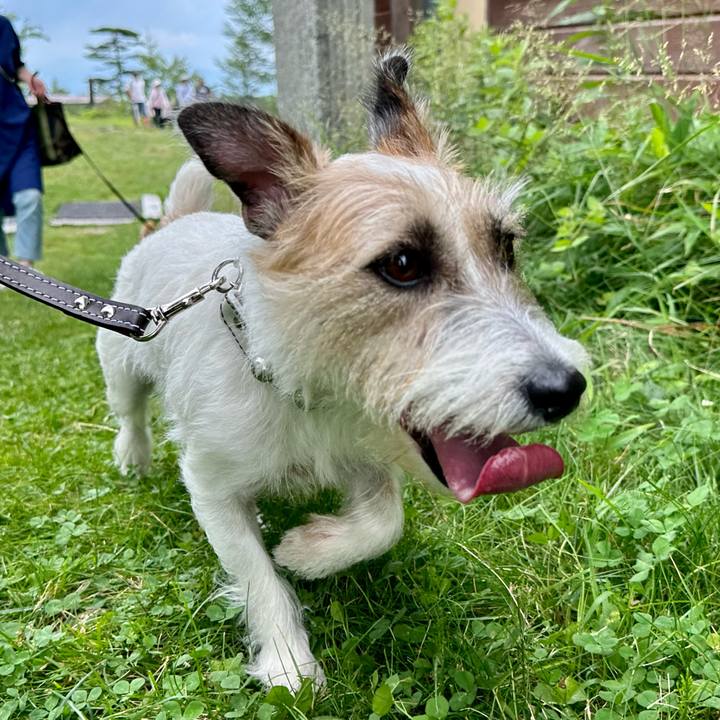 034a01fd 30bd 4c1e 8a11 644ab9e9fd35 1722781197590