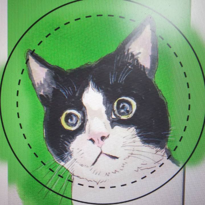 034a8d42 9045 4a64 b82b c2b0042d79dc 1572355960229