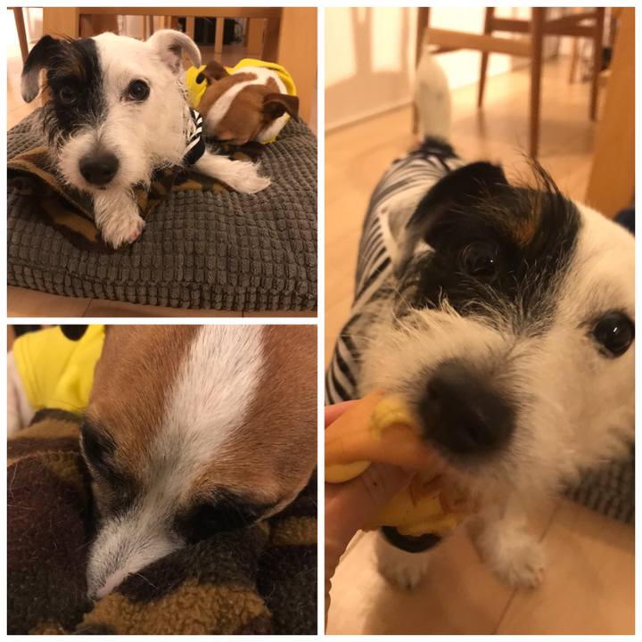 034abf97 b42b 4e85 a041 b0e2b8eb48a9 1541424269344