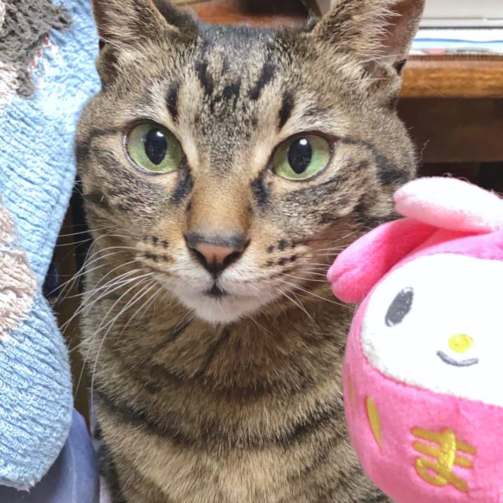 034ac21d 24f8 4175 b7a6 b5f003630150 1589711997243