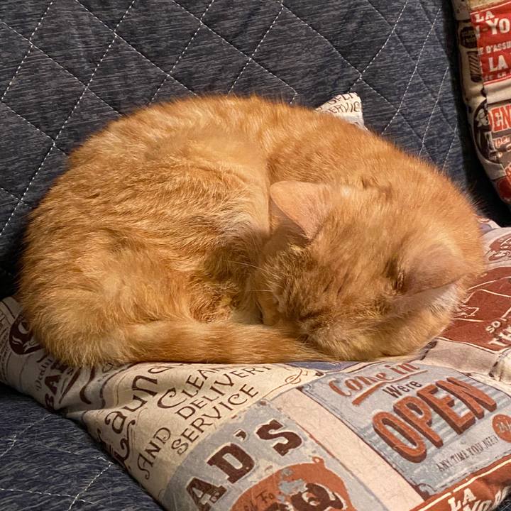 034addae 1586 4fbb 8c41 c9d30a9077e0 1585707530325