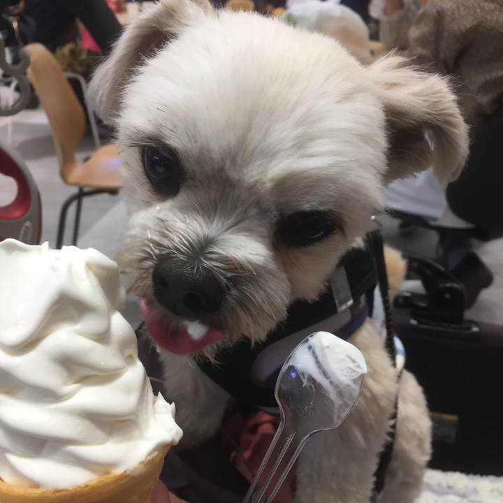 034b72f6 514a 49a7 9e99 be76d55b3add 1556963370035