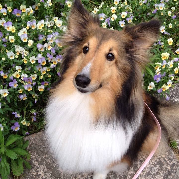 034b8876 1dce 439a a259 eef53a4e5bb4 1508419844475