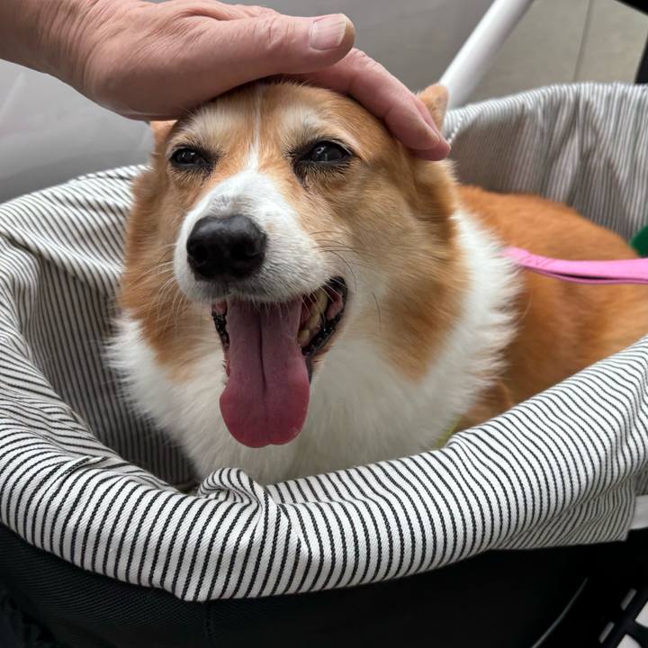 034b8c98 371d 4ab4 9d84 286b7458e88f 1745116048340