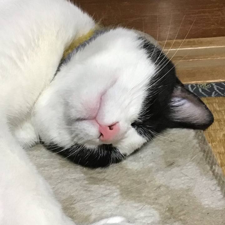 034bb010 8b78 4607 88ca 5e320b9d8406 1652348893876