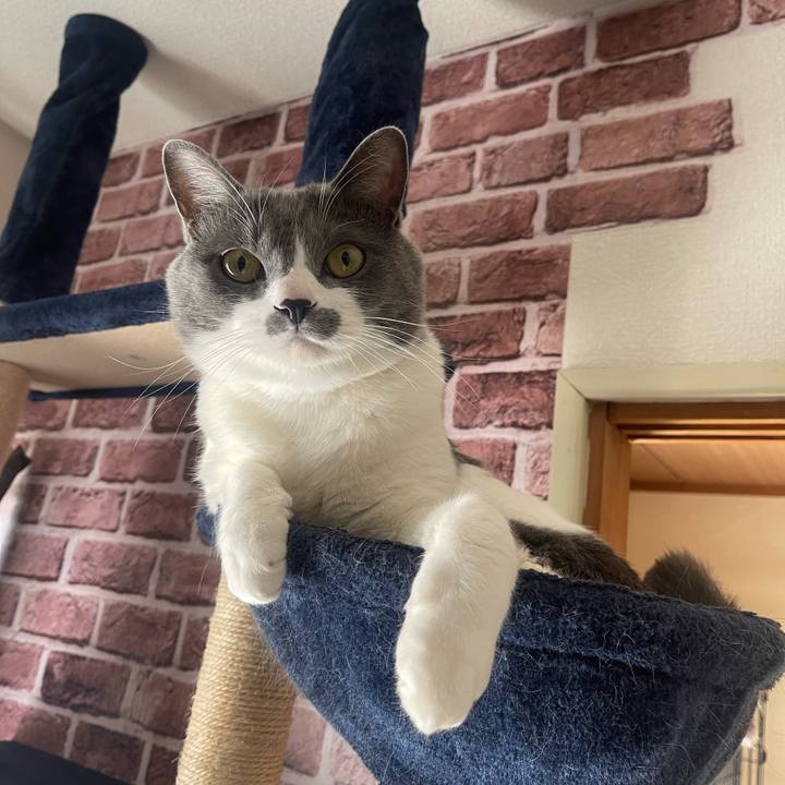 034bb11d 4bf8 4730 8c03 c96816f1e968 1677888753458