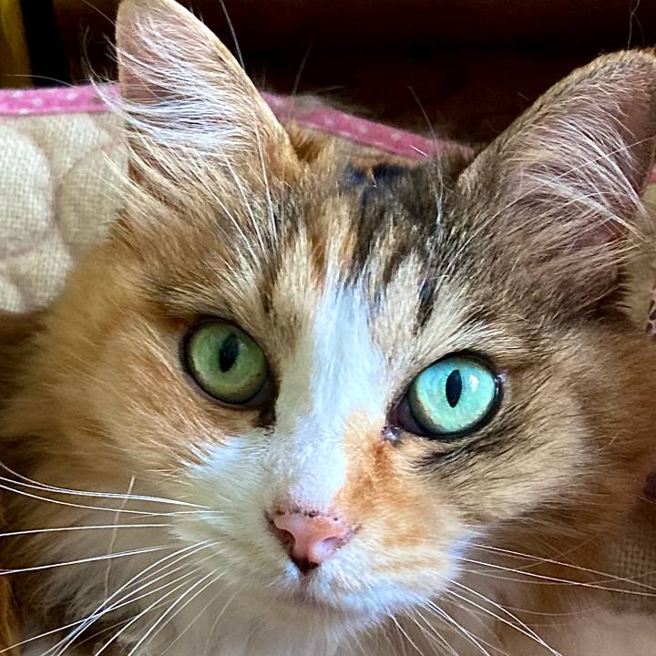 034bf36c f131 41b3 8a41 318ce5981a51 1661734790061