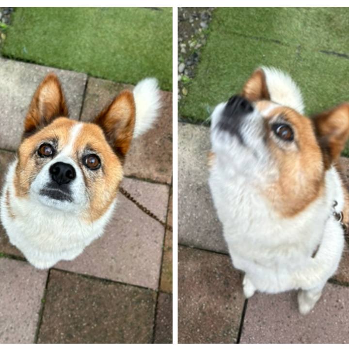 034c02ac 709d 4106 bfcc cc287d44f346 1760566146299