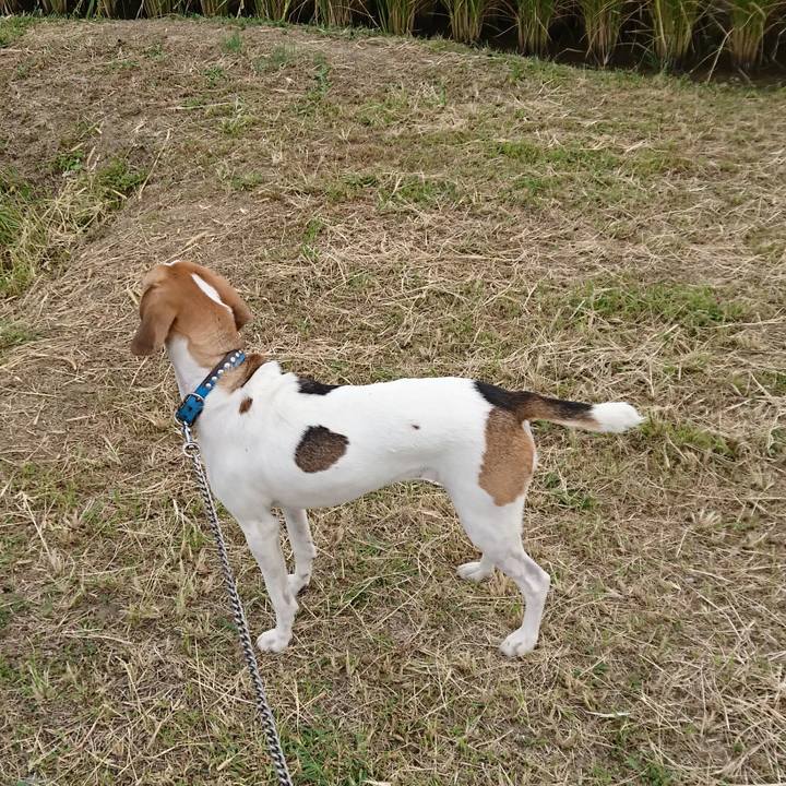 034c516d 8028 4086 bbd2 ab2359899f17 1570072045053