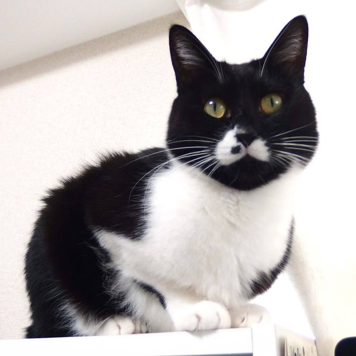 034c51f7 7b7b 4744 96f8 316fa0c8bdd1 1542813402503