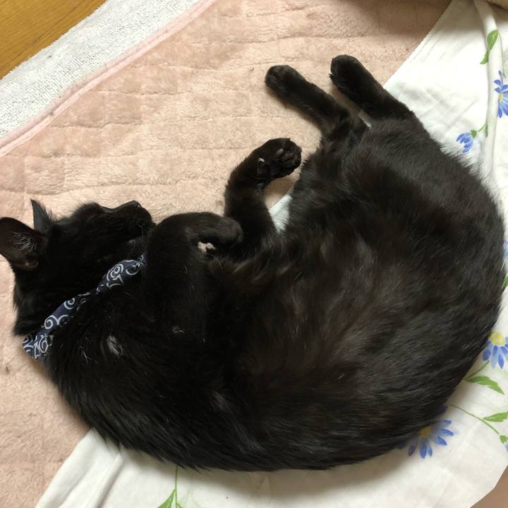 034c5f36 1ee5 421f 9333 b16313e615f8 1559354262658