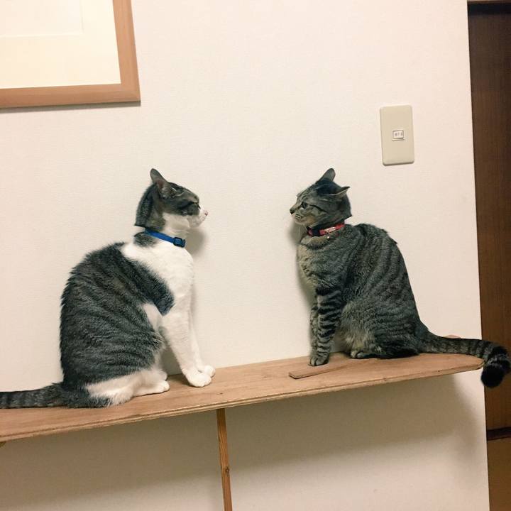 034c6491 d511 4059 b060 c46774457a68 1517975068753