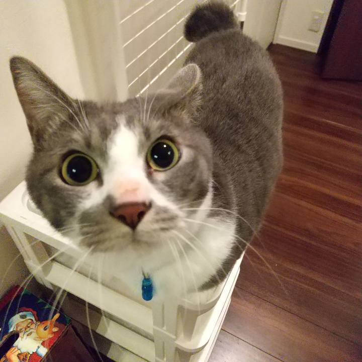 034c7950 1611 4240 97df 3c1d2ccec77f 1612005449671