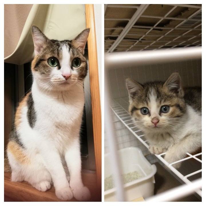 034c7afa 86b1 4448 b4f0 5a755217c05b 1637922163580